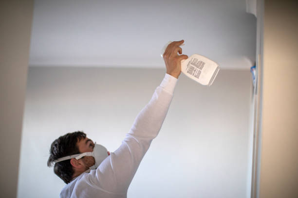 Best Commercial Mold Removal  in Calhoun, GA