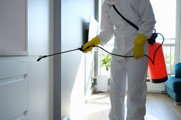 Best Toxic Mold Removal  in Calhoun, GA
